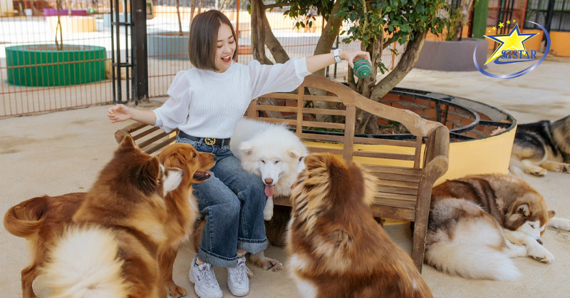 Những Gợi Ý Cho Chuyến Du lịch Đà Lạt Tết 2024 | Saigon Star Travel Nông Trại Cún - Puppy Farm Đà Lạt