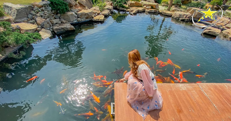 Khám phá Kombi Land Đà Lạt - Nơi sống ảo độc đáo giữa lòng thành phố | Saigon Star Travel que garden da lat