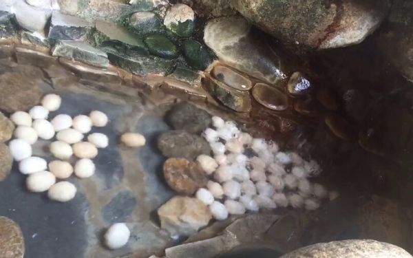 Review khu du lịch núi Thần Tài | Saigon Star Travel review khu du lich nui than tai 3