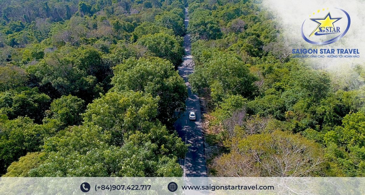 Rừng nguyên sinh Phước Bửu - Tour Bình Châu Hổ Cốc 3 ngày 2 đêm