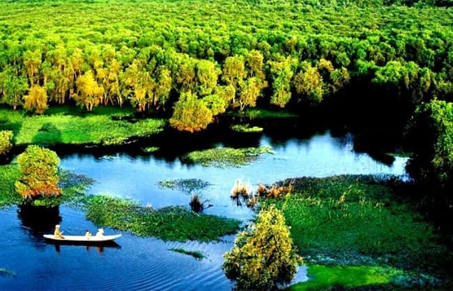 Du Lịch Rừng Tràm Trà Sư | Sự lựa chọn du lịch lý tưởng | Saigon Star Travel rung tram tra su