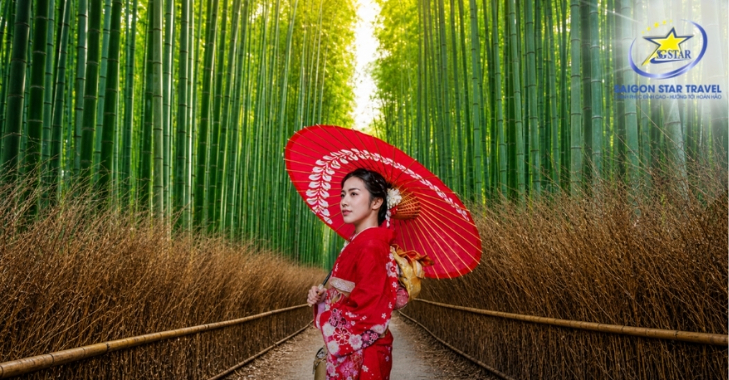 Rừng tre Sagano Kyoto trong tour Nhật Bản 4N4Đ