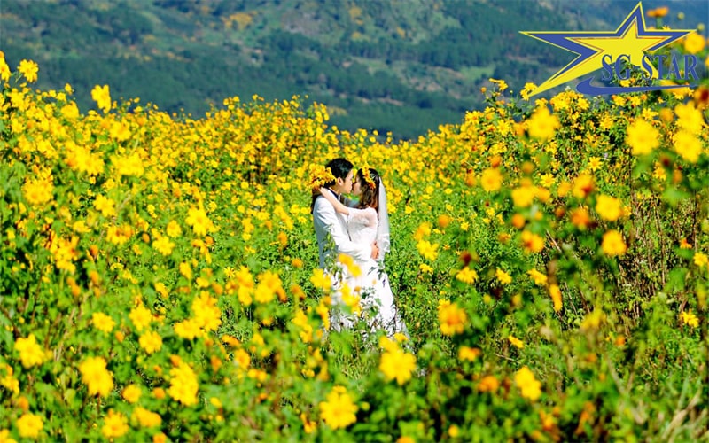 Cùng Saigon Star tìm hiểu ngay du lịch Đà Lạt tháng 9 có gì hấp dẫn | Saigon Star Travel s25 hinh2 min