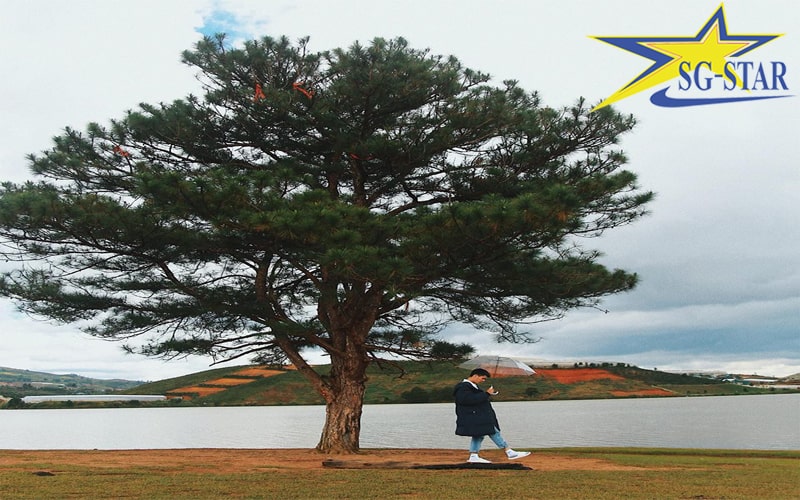 Cùng Saigon Star tìm hiểu ngay du lịch Đà Lạt tháng 9 có gì hấp dẫn | Saigon Star Travel s25 hinh3 min