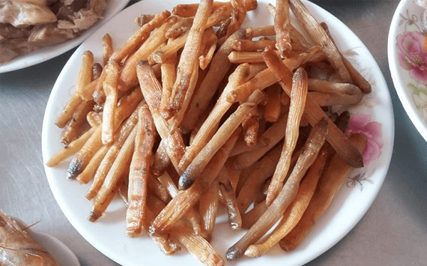 Du lịch Cô Tô địa điểm mới thu hút nhiều bạn trẻ | Saigon Star Travel du-lich-co-to-dia-diem-moi-thu-hut-nhieu-ban-tre-7