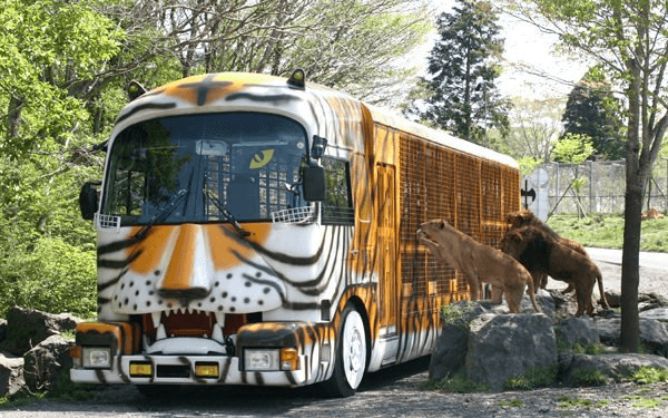 Núi Phú Sĩ- Fuji Mountain địa điểm không thể bỏ qua tại Nhật Bản | Saigon Star Travel nui-phu-si-fuji-mountain-dia-diem-khong-the-bo-qua-tai-nhat-ban-5