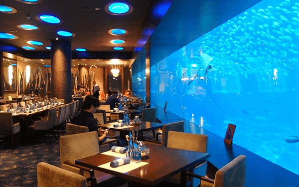 S.E.A Aquarium - Lạc vào thủy cung Singapore | Saigon Star Travel sea-aquarium-singapore-0007