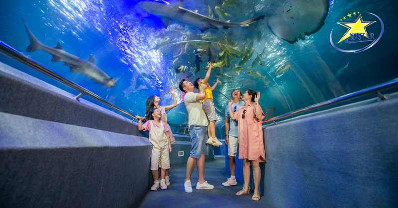 Du Lịch Đảo Hòn Tre Nha Trang - Điểm Đến Không Thể Chối Từ | Saigon Star Travel Đi đến Sea World cùng gặp gỡ những người bạn dưới biển ngay nào