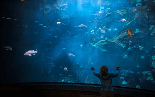 Tour Singapore 30/4 hấp dẫn nhiều khách du lịch vì có các điểm này | Saigon Star Travel tour-singapore-30-4-hap-dan-nhieu-khach-du-lich-vi-co-cac-diem-nay-3