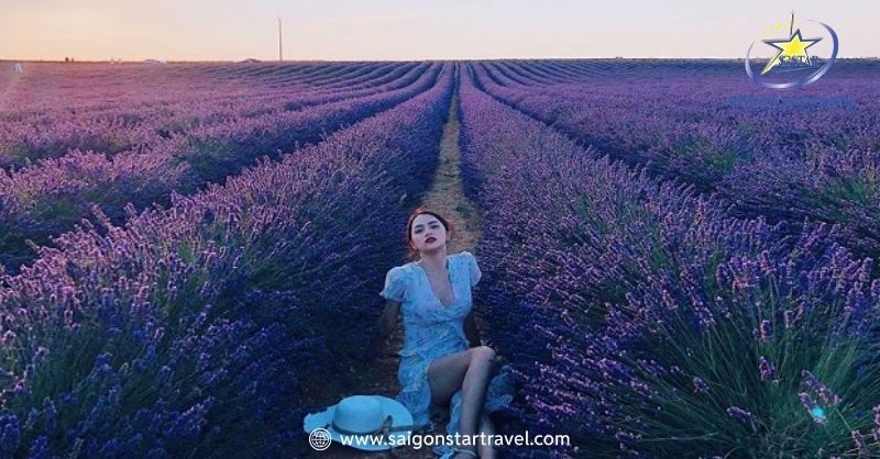 Khu Du Lịch Lavender Đà Lạt – Sắc Tím Pháp Trên Đất Việt | Saigon Star Travel Thả dáng cực đẹp giữa cánh đồng lavender