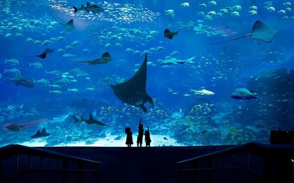 Du lịch Singapore nên đi đâu chơi? | Saigon Star Travel singapore-nen-di-dau-11 (1)