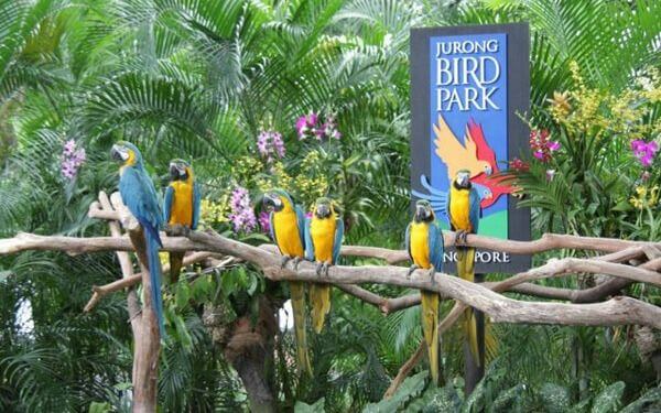 Du lịch Singapore nên đi đâu chơi? | Saigon Star Travel singapore-nen-di-dau-8 (1)