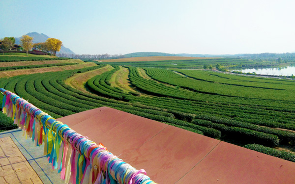 Singha Park – Khám phá công viên nông trại nổi tiếng Thái Lan | Saigon Star Travel singha-park-kham-pha-cong-vien-nong-trai-noi-tieng-thai-lan-2