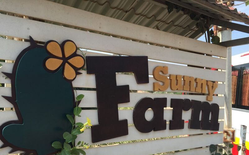 MỘT NGÀY BÉ LÀM NÔNG DÂN- NÔNG TRẠI SUNNY FARM | Saigon Star Travel sunny-farm-3
