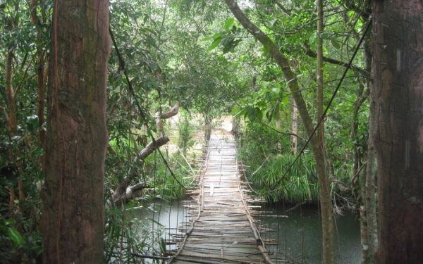 Khám phá vẻ đẹp tựa tiên cảnh của Suối Đá Bàn Phú Quốc | Saigon Star Travel suoi-da-ban-phu-quoc-005 (1)