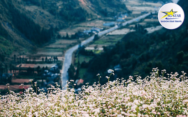 Tam Giác Mạch Hà Giang - Khung Cảnh Thần Tiên Không Thể Bỏ Qua | Saigon Star Travel tam-giac-mach-ha-giang-khung-canh-than-tien-khong-the-bo-qua-2