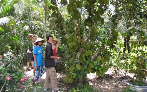 Tất tần tật các kinh nghiệm đi vườn trái cây Lái Thiêu | Saigon Star Travel tat tan tat cac kinh nghiem di vuon trai cay lai thieu 5