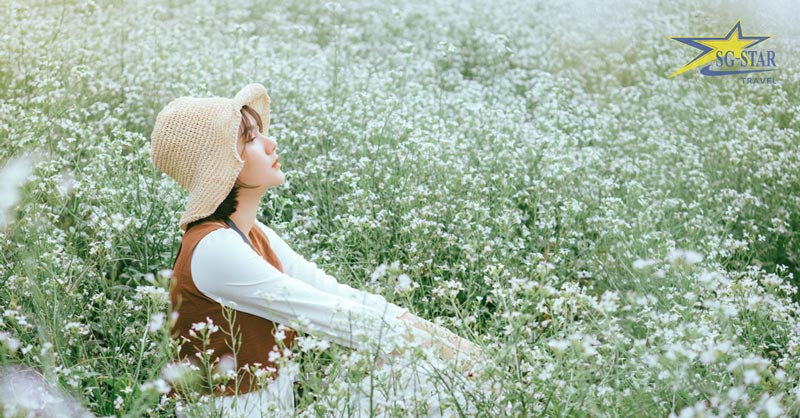 Tất tần tật về kinh nghiệm du lịch Tết Đà Lạt 2025 | Saigon Star Travel Check-in cánh đồng hoa cải trắng Đà Lạt Tết Nguyên Đán