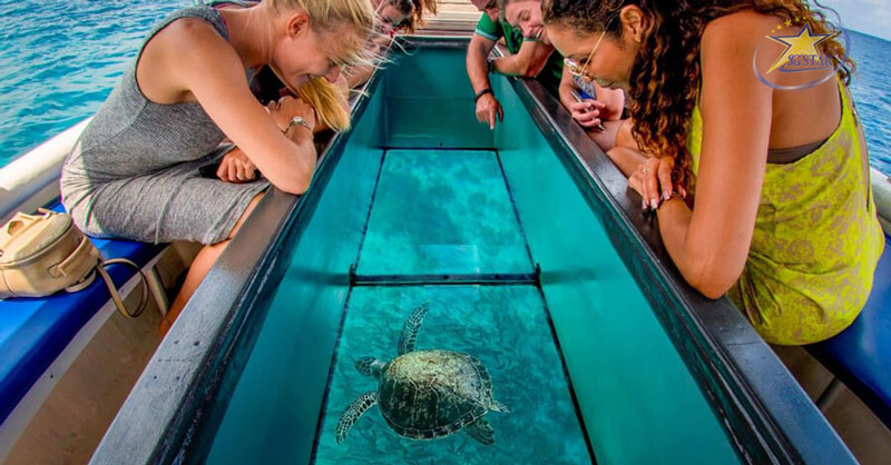 Review chi tiết Tour 4 đảo Nha Trang có gì hấp dẫn | Saigon Star Travel Trải nghiệm đi tàu đáy kính ngắm đại dương ở Hòn Mun Nha Trang