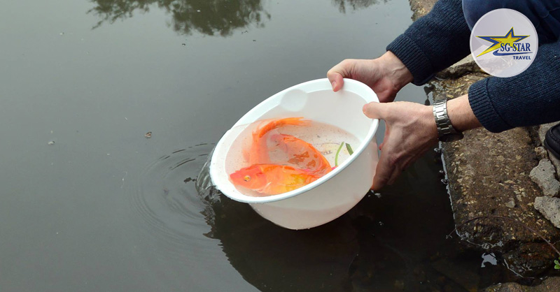 Thả cá chép dưới sông để làm phương tiện giúp Táo chầu trời thuận tiện Thả cá chép dưới sông để làm phương tiện giúp Táo chầu trời thuận tiện