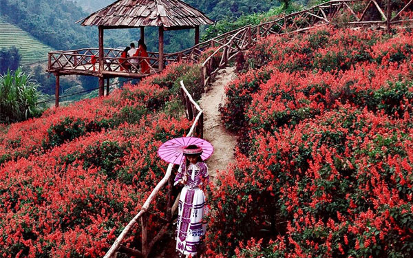 tham-ban-cat-cat-sapa-ngoi-lang-binh-di-vung-cao-6