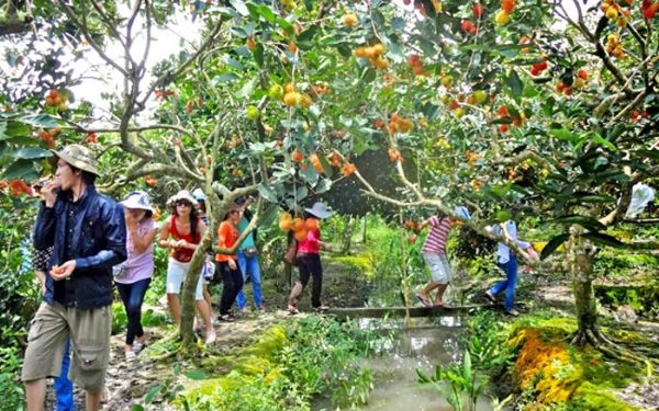 tham quan khu vuon trai cay cu chi 1