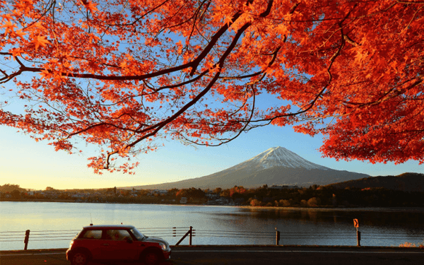 Trải nghiệm thú vị chỉ tour Nhật Bản tháng 11 mới có | Saigon Star Travel trai-nghiem-thu-vi-chi-tour-nhat-ban-thang-11-moi-co-5