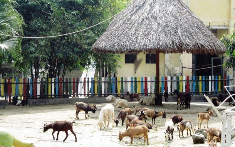 THAM QUAN THẢO CẦM VIÊN+ XEM MÚA RỐI | Saigon Star Travel thao-cam-vien-2