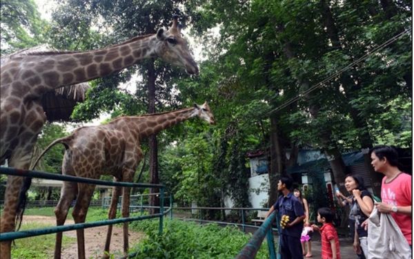 Thảo Cầm Viên - Lá phổi xanh của thành phố mang tên Bác | Saigon Star Travel thao cam vien la phoi xanh cua thanh pho mang ten bac 5