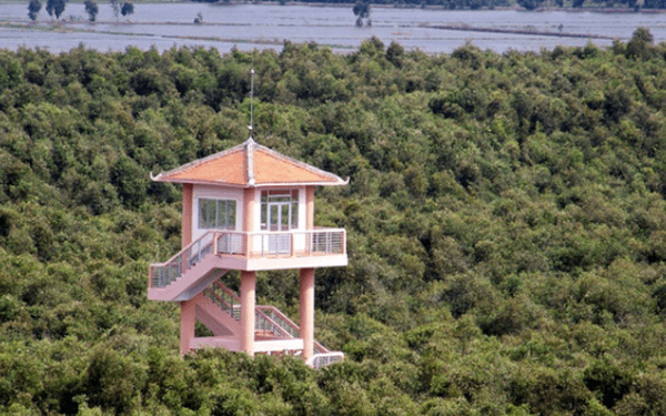 Khu du lịch làng nổi Tân Lập nên đi hay không? | Saigon Star Travel khu-du-lich-lang-noi-tan-lap-nen-di-hay-khong-4