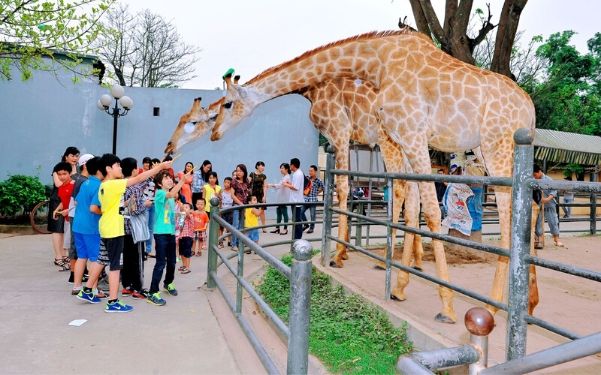 Thiên Đường Bảo Sơn Hà Nội - Thiên đường vui chơi cuối tuần ở Hà Nội | Saigon Star Travel thien duong bao son thien duong vui choi cuoi tuan o ha noi 6