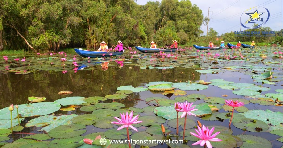 Trải nghiệm chèo xuồng mùa nước nổi, ngắm nhìn thiên nhiên tại làng Tân Lập
