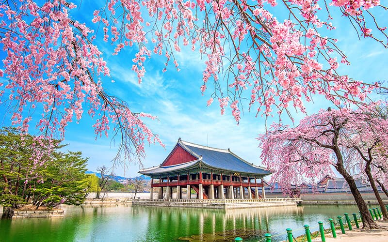 Thủ tục gia hạn visa Hàn Quốc | Saigon Star Travel thu-tuc-visa-han-quoc