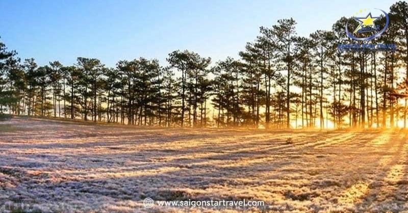Thung Lũng Vàng - Nơi Lắng Đọng Hạnh Phúc Giữa Thiên Nhiên | Saigon Star Travel Các Đồ Nên Mang Theo Khi Đến Khu Du Lịch Thung Lũng Vàng Đà Lạt