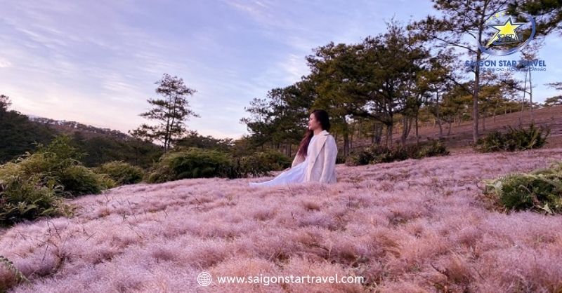 Thung Lũng Vàng - Nơi Lắng Đọng Hạnh Phúc Giữa Thiên Nhiên | Saigon Star Travel Những Lưu Ý Trong Khi Tham Quan Thung Lũng Vàng Đà Lạt