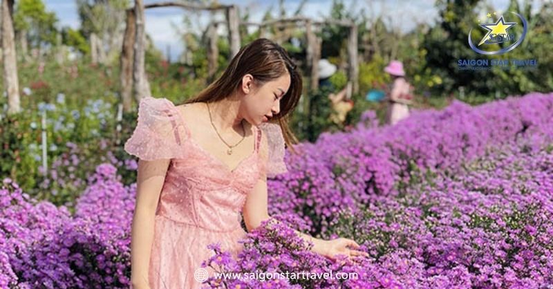 Thung Lũng Vàng - Nơi Lắng Đọng Hạnh Phúc Giữa Thiên Nhiên | Saigon Star Travel Lạc Vào Vườn Hoa Ngập Tràn Sắc Màu Tại Thung Lũng Vàng