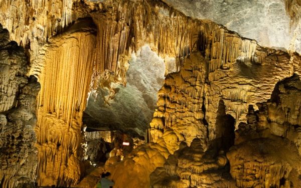 thung nham ninh binh kham pha vuon chim tuyet dep mien bac 2 1