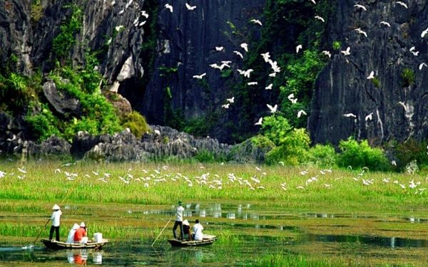 thung nham ninh binh kham pha vuon chim tuyet dep mien bac 6