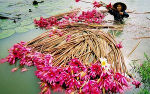 thuong thuc 5 mon dac san mien tay mua nuoc noi 1
