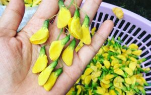 thuong thuc 5 mon dac san mien tay mua nuoc noi 4