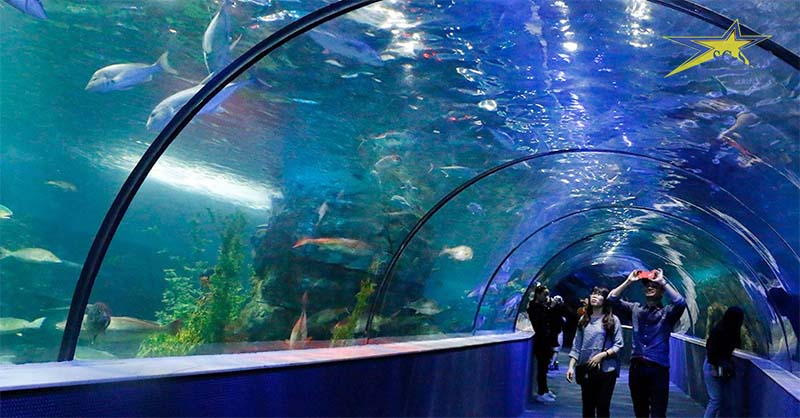 Khu du lịch Suối Tiên - lịch sử con Rồng cháu Tiên Việt Nam | Saigon Star Travel thuy cung