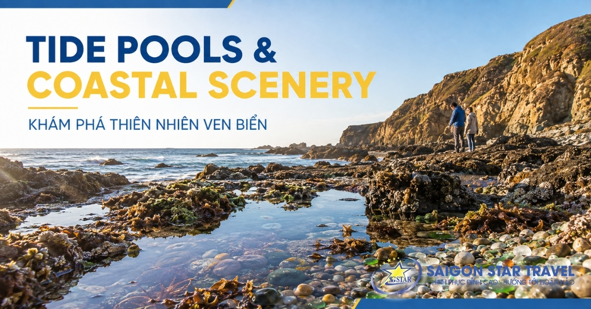 Tide pools và cảnh quan ven biển tại Glass Beach Fort Bragg California