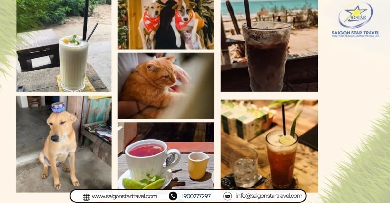 Điểm Đến Lý Tưởng /quán cà phê đường chân trời