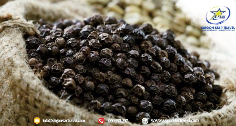 Tiêu Phú Quốc nổi tiếng là đặc sản du lịch Phú Quốc vì vỏ mẩy, hạt chắc, cay và thơm nồng