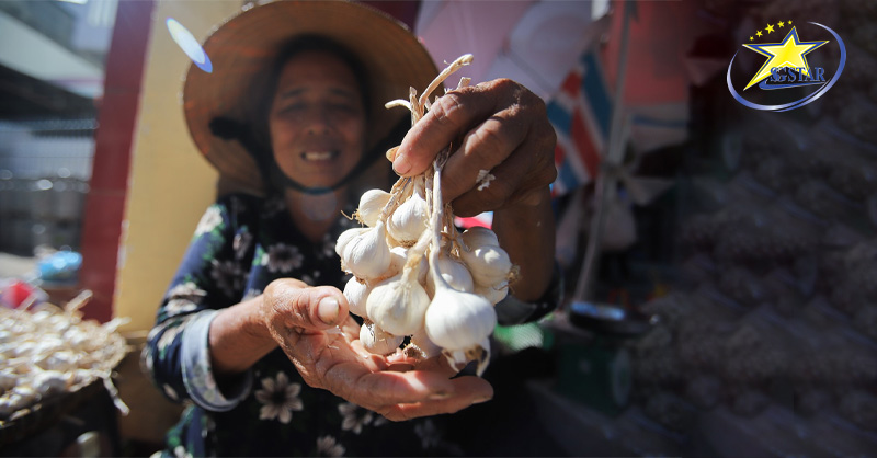 Tỏi Lý Sơn nổi tiếng với hương vị thơm ngon của mình
