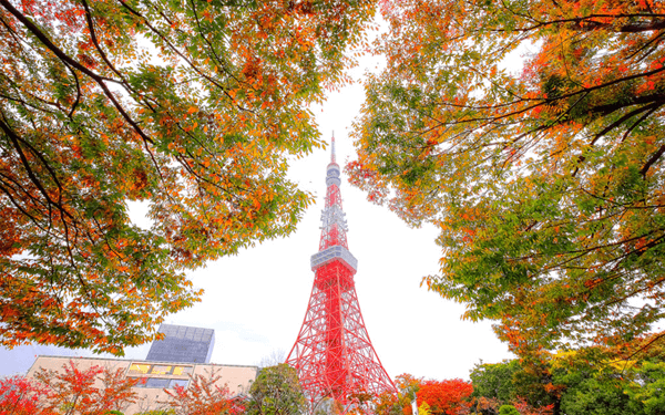 Trải nghiệm thú vị cùng tour Nhật Bản tháng 9 | Saigon Star Travel trai-nghiem-thu-vi-cung-tour-nhat-ban-thang-9-7