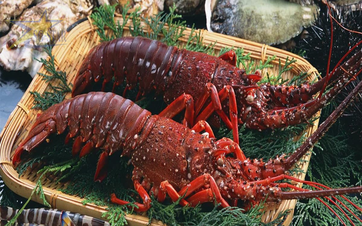 Chi phí đi Côn Đảo tự túc bao nhiêu là hợp lý? | Saigon Star Travel Tôm hùm lửa đặc sản nổi tiếng tại Côn Đảo