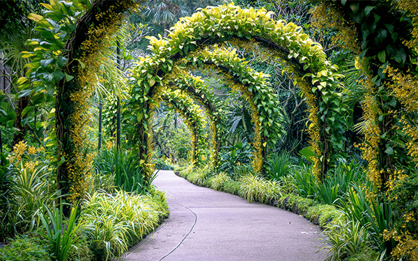 Tổng hợp kinh nghiệm du lịch bụi Singapore | Saigon Star Travel tong-hop-kinh-nghiem-du-lich-bui-singapore-10