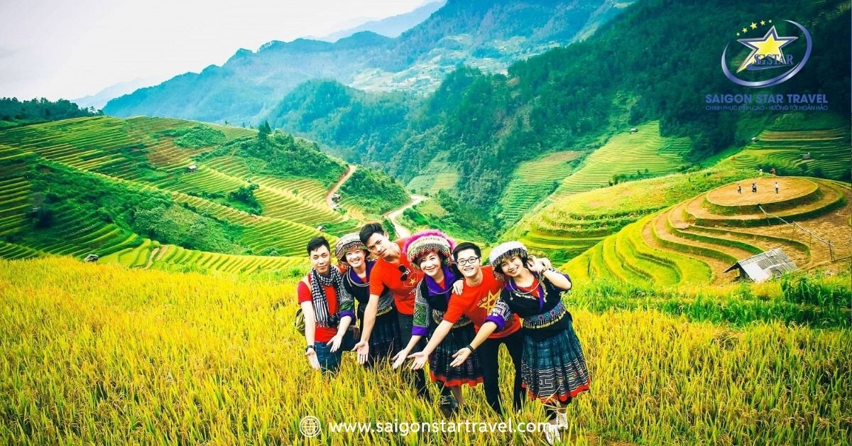 Sapa vào mùa gặt lúa