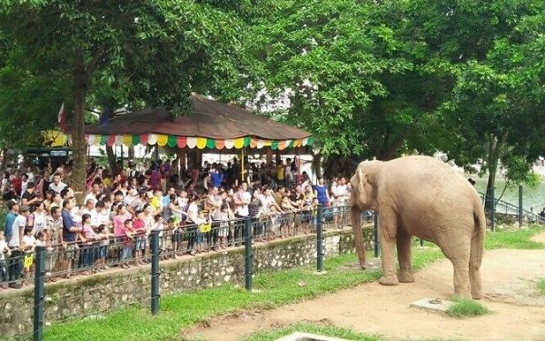 Top 5 địa điểm vui chơi trẻ em ở Hà Nội cuối tuần thú vị và bổ ích | Saigon Star Travel top 5 dia diem vui choi tre em o ha noi cuoi tuan thu vi va bo ich 2